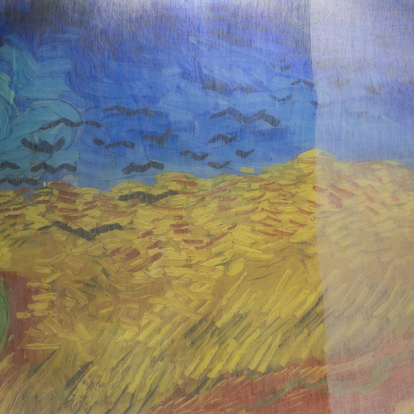 Eșarfă damă, imprimeu peisaj de câmpie, 195 x 70 cm - Albastru Galben
