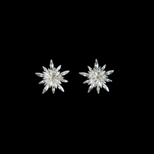 Cercei mici cu pietre strălucitoare, Ice Flower - Argintiu